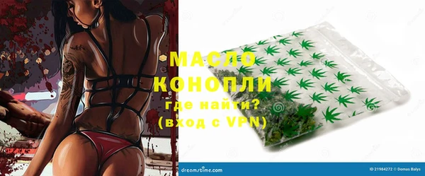 индика Армянск