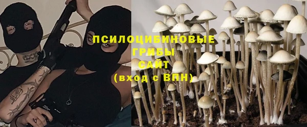 каннабис Арсеньев