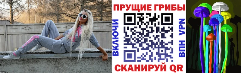 Купить закладки  Плавск  Галлюциногенные грибы мухоморы 
